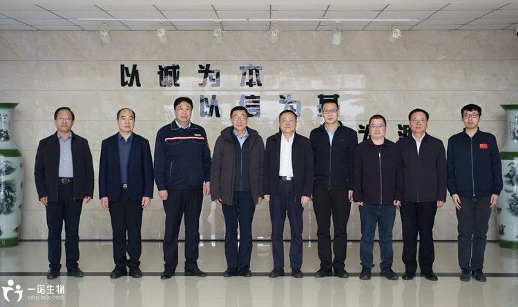 Research and development of bio based new materials